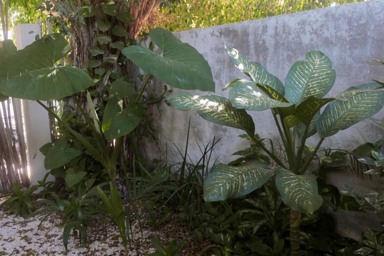 Wabi Sabi Garden Guesthouse By Amara Concepts. Tulum Exterior foto